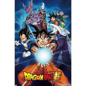 Dragon Ball Super - Groups Wall Poster